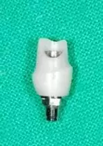 【門牙微創植牙】即拔即種,立即擁有假牙套 【門牙微創植牙】即拔即種,立即擁有假牙套