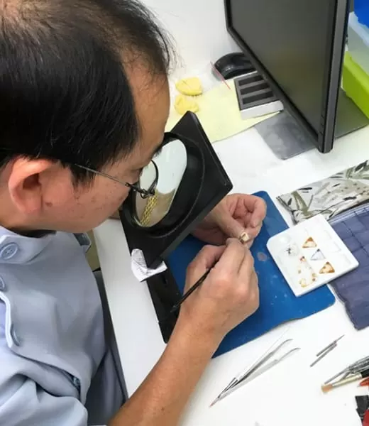 proimages/news/add03/image025.jpg proimages/news/add03/image025.jpg