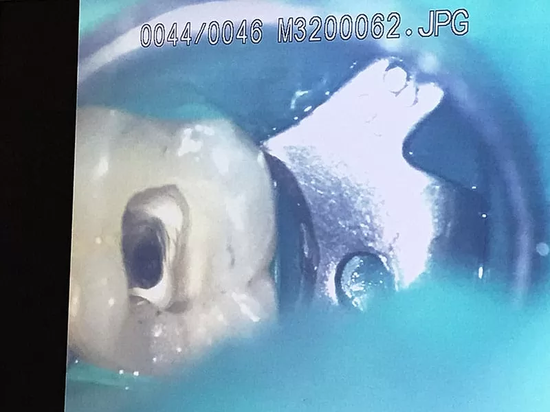 proimages/news/add04/24.jpg proimages/news/add04/24.jpg