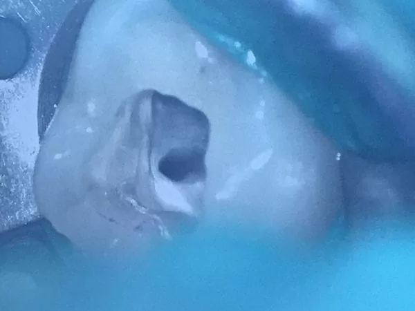 proimages/news/add04/26.jpg proimages/news/add04/26jpg