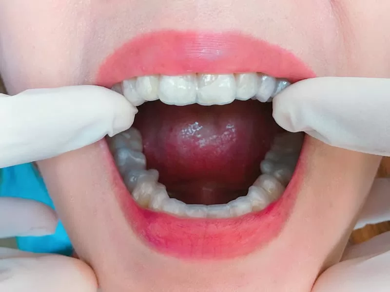 proimages/news/add04/7.jpg proimages/news/add04/7.jpg