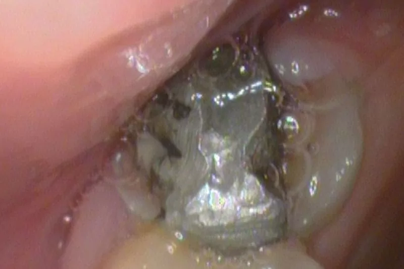 proimages/news/add05/1.jpg proimages/news/add05/1.jpg