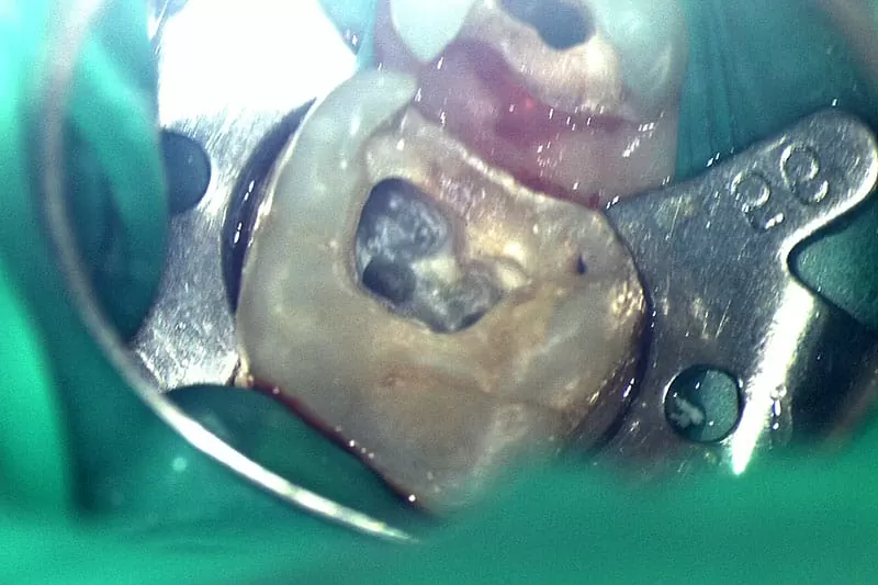 proimages/news/add05/3.jpg proimages/news/add05/3.jpg