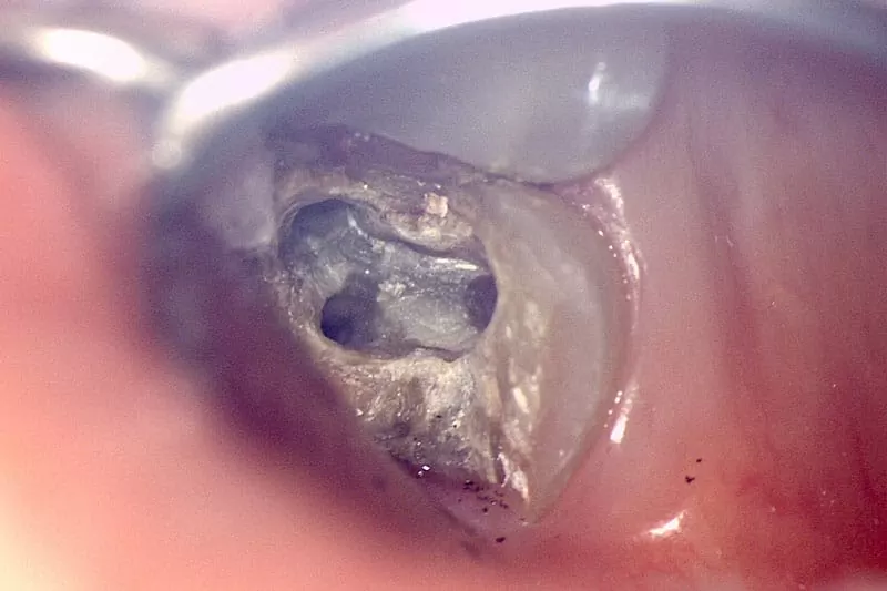 proimages/news/add05/5.jpg proimages/news/add05/5.jpg