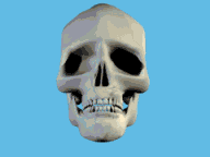 顳顎障礙症 顳顎障礙症